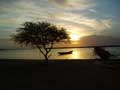 Pirogue 2