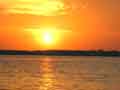Sine sun