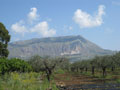 view to mountain