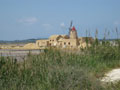 windmills