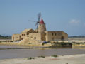windmill