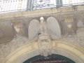 eagle