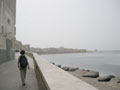 By the sea